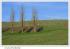 eChampagne.net - Printemps